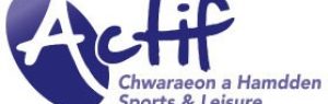 Actif Sir Gar Logo